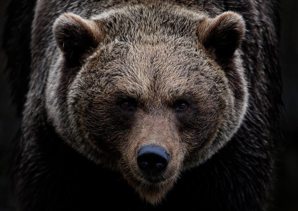 The markets do NOT like uncertainty. Image from Pixabay/ambquinn